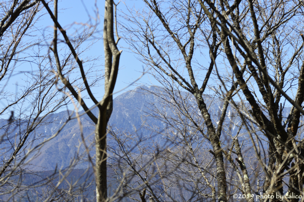 林の間からの無間地獄