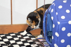 誰ﾆｬ！片付けてないのは…