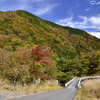 山道を行く