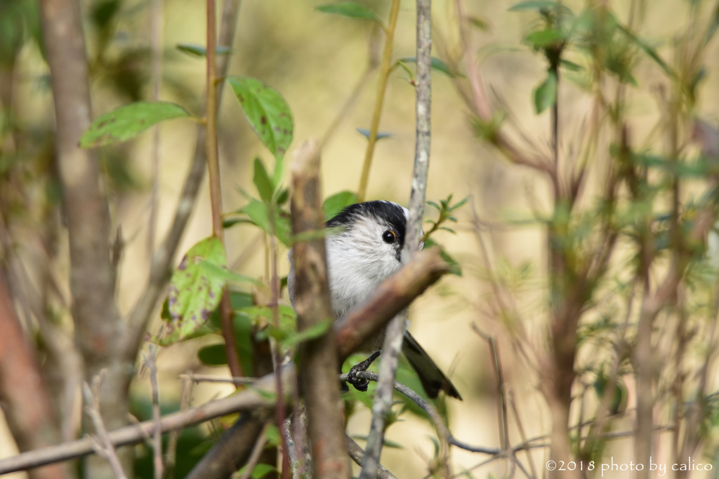 まいっちゃうよね･･･