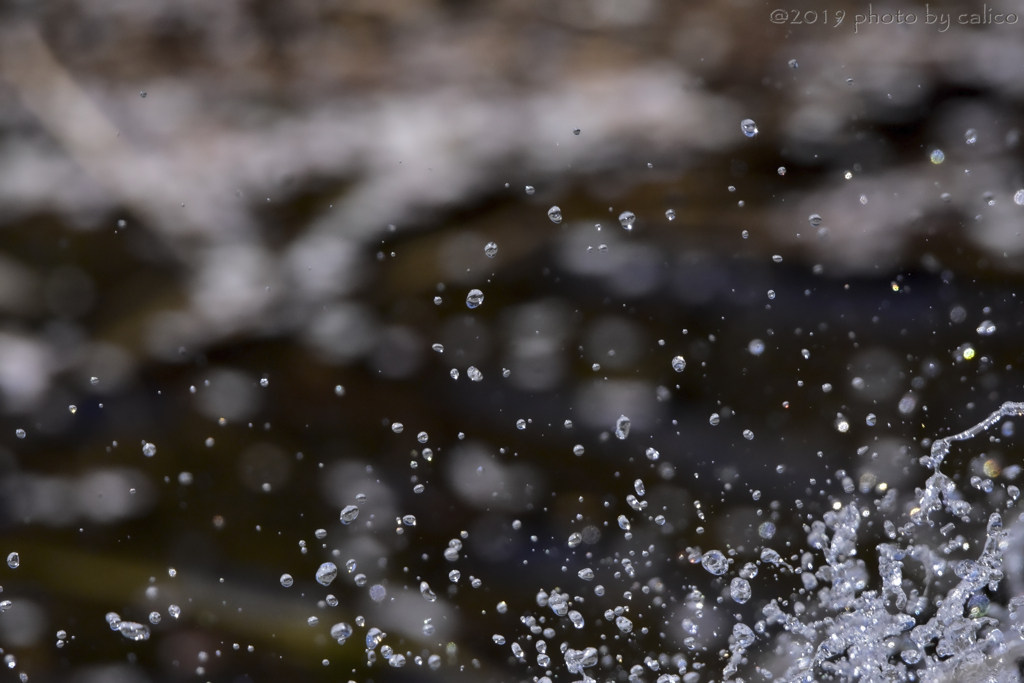水の春