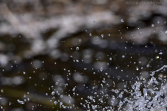 水の春