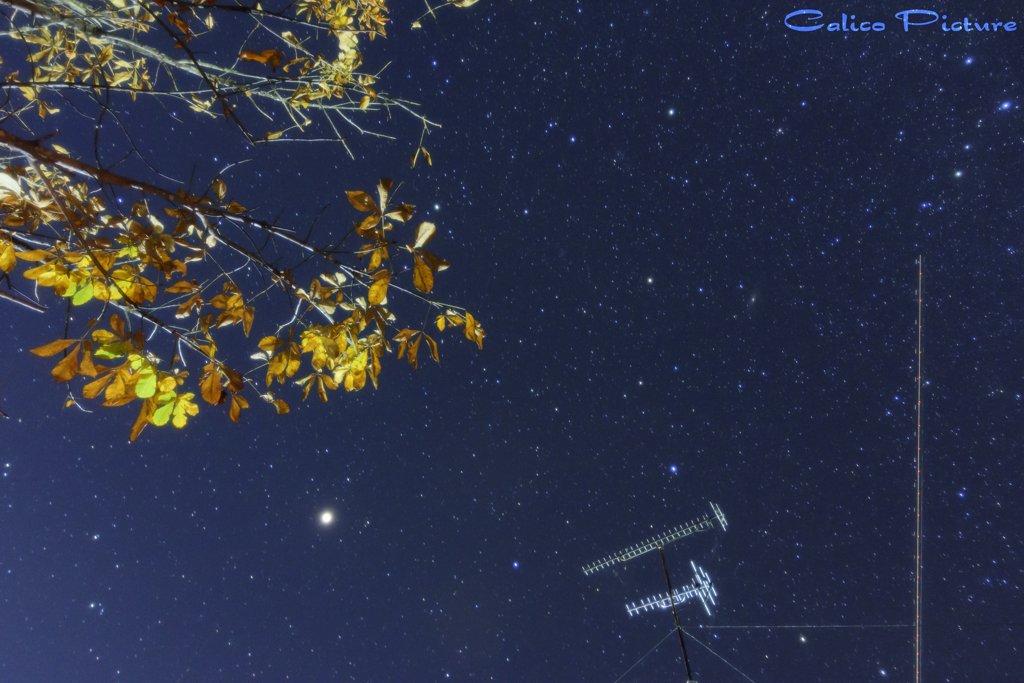 トチノキと火星と轟音