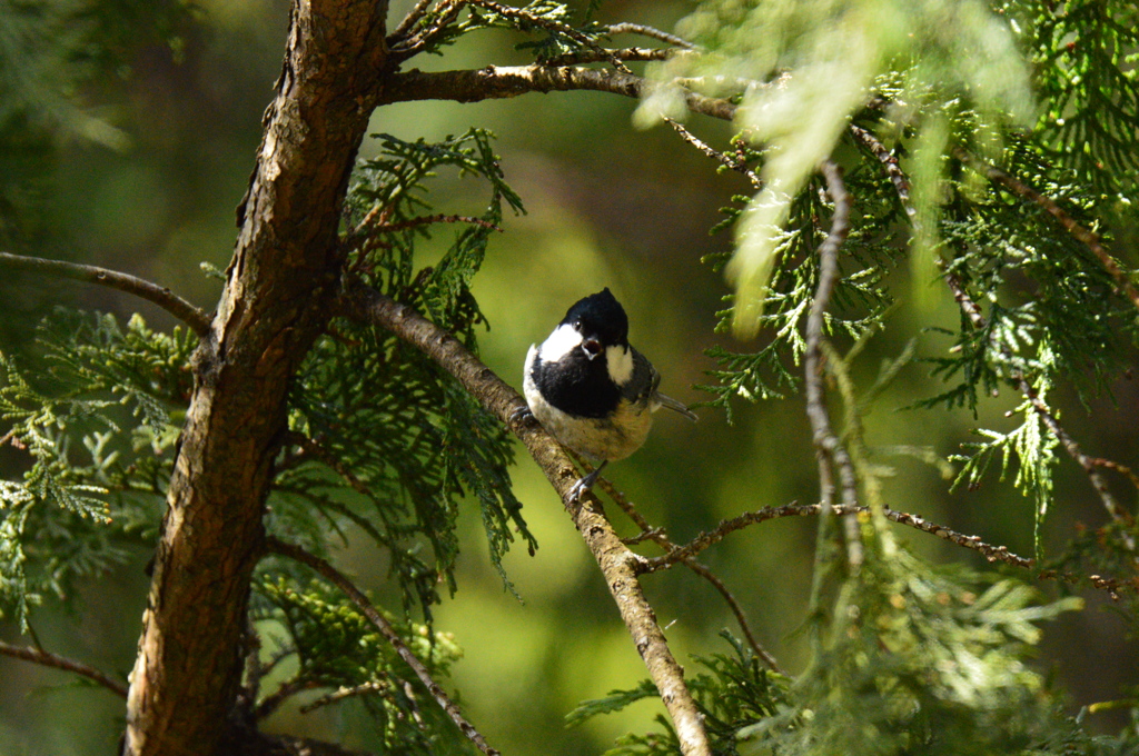 僕達も撮ってよ～
