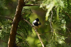 僕達も撮ってよ～