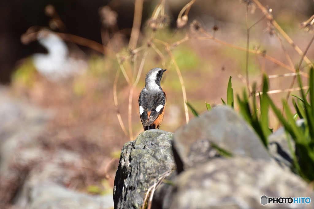 気になって来てみたよ♪