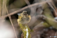寒いなんて言ってられない