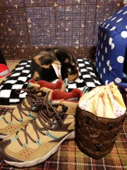 ニニャ～ン！！