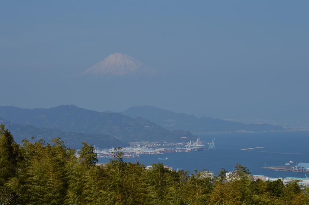日本平から眺める富士