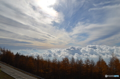 雲の上をゆく
