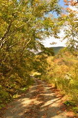 秋の小道