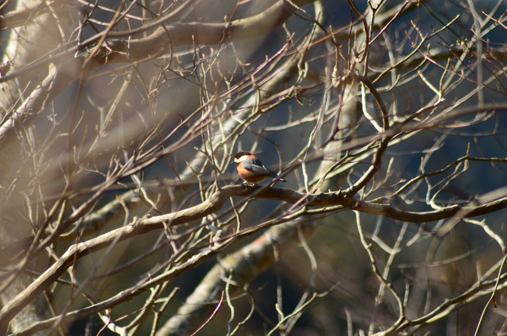 ずっとここに居たよ①