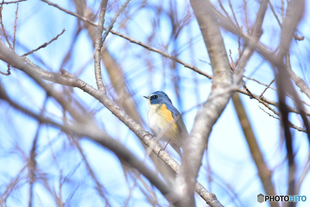 空よりも青く Ⅱ