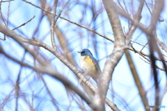 空よりも青く Ⅱ