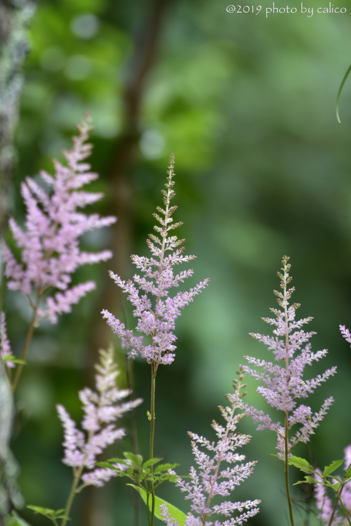 落ち着いた明るさ
