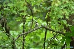お礼参り? お礼参り?