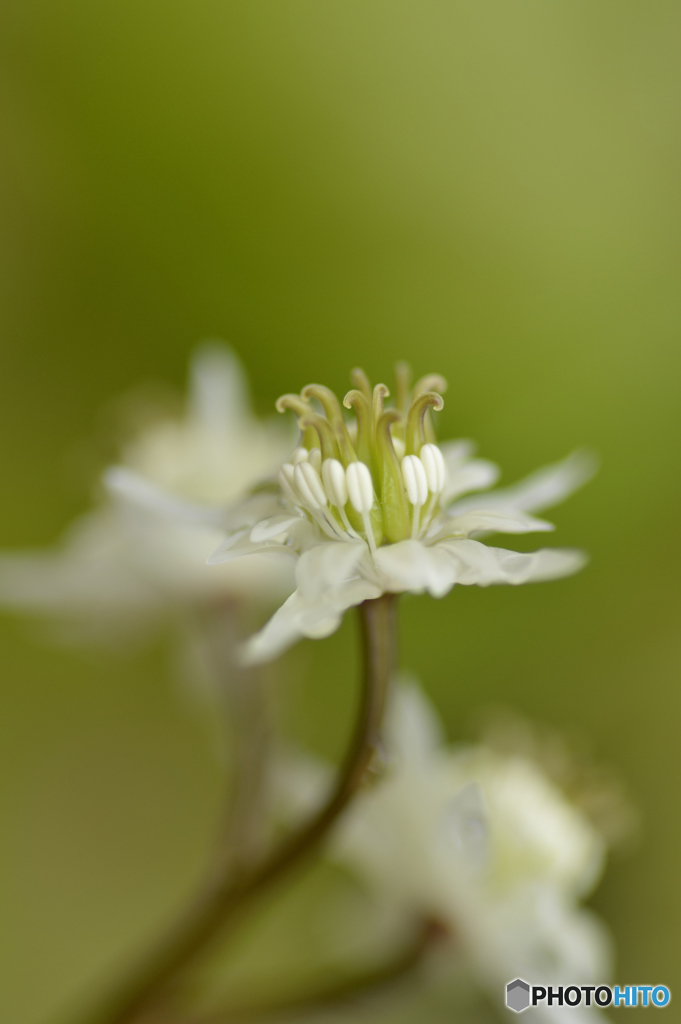 春へのいざない Ⅲ