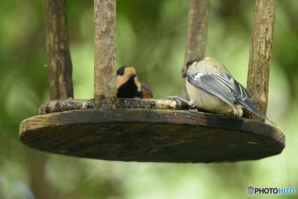 先輩と後輩  Ⅱ