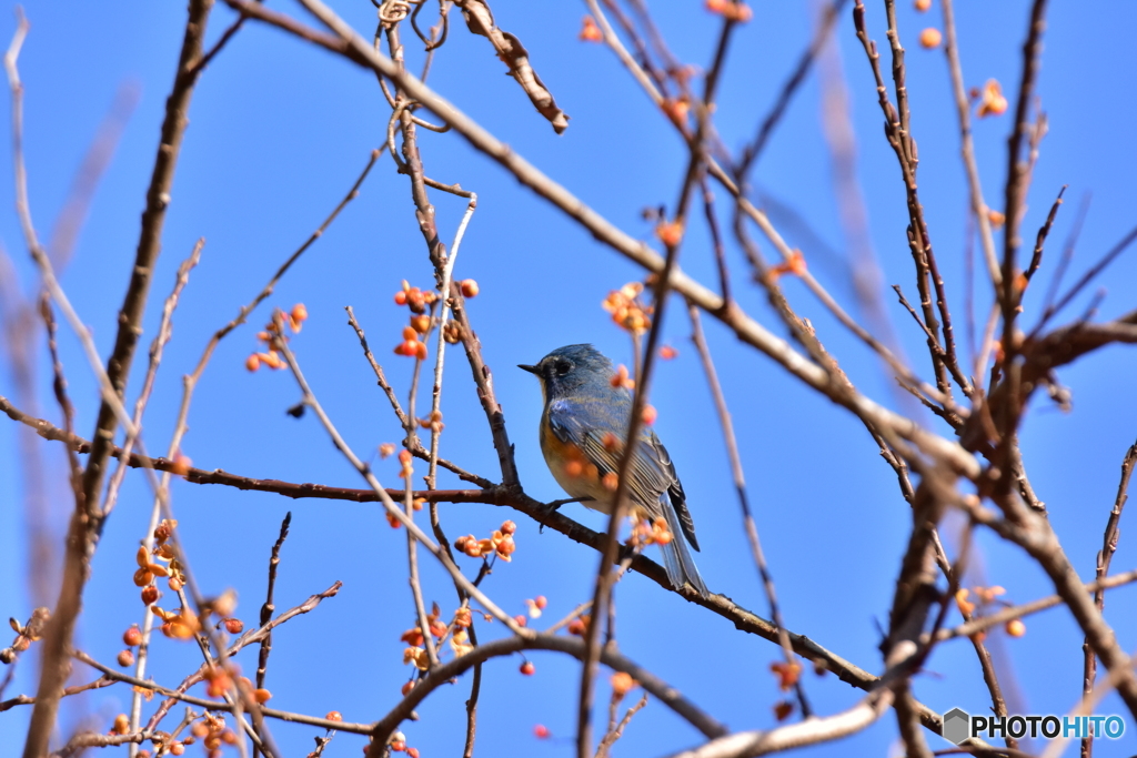 空よりも青く Ⅲ