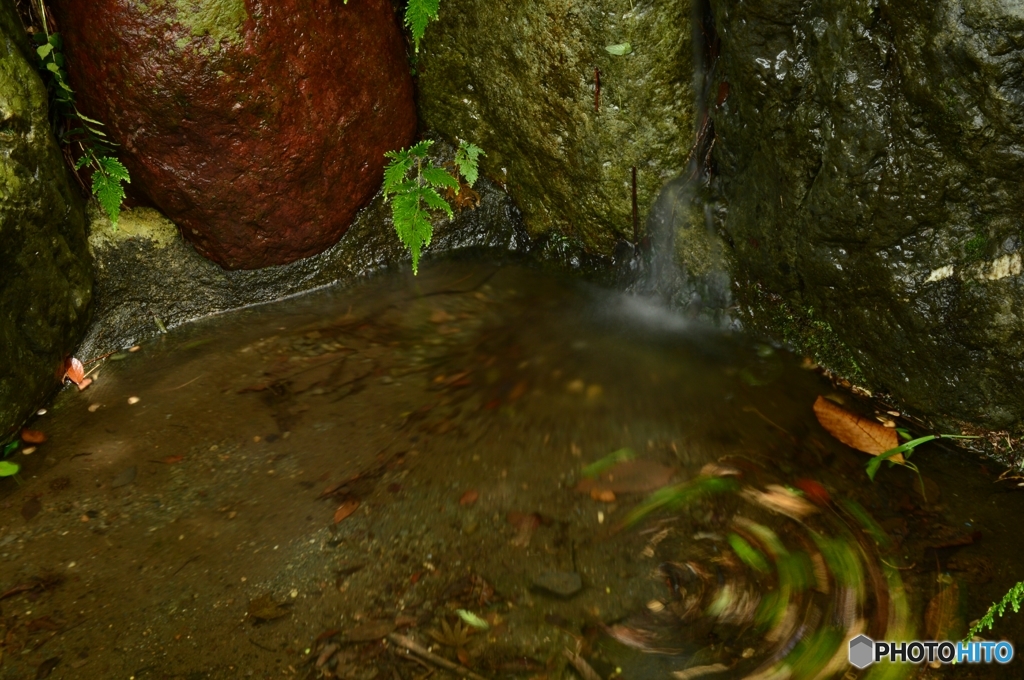 kenko PRO1D ND16(W)試写