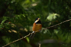 僕がやっぱり主役でしょ