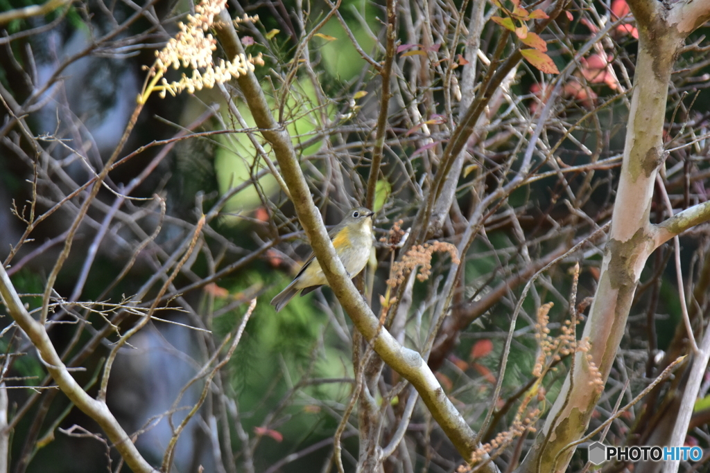到着しました ②