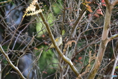 到着しました ②