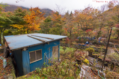 山葵田秋景 Ⅰ