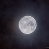 Hunter's Moon
