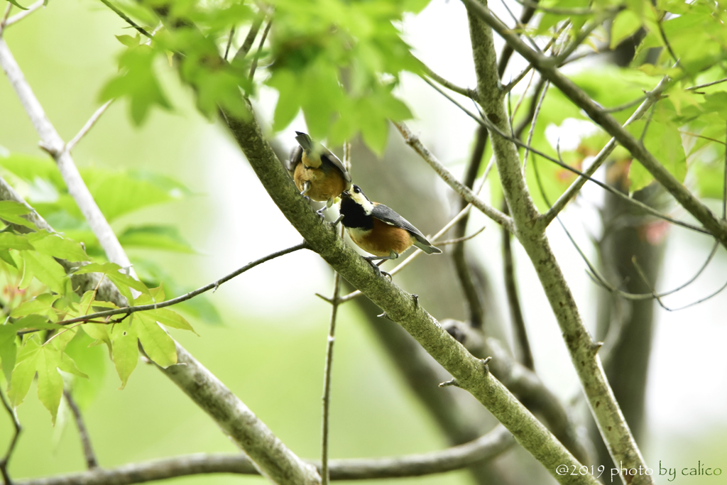 届けたい想い Ⅱ