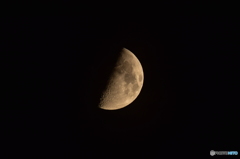 秋初月 月齢10.1