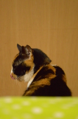  べロン