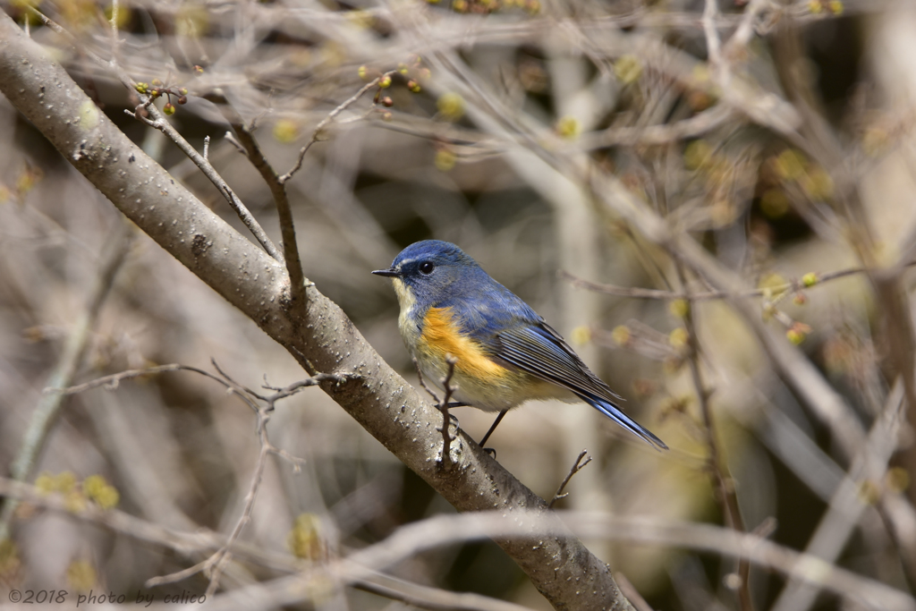 また会う日まで Ⅰ