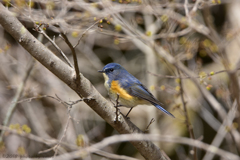 また会う日まで Ⅰ