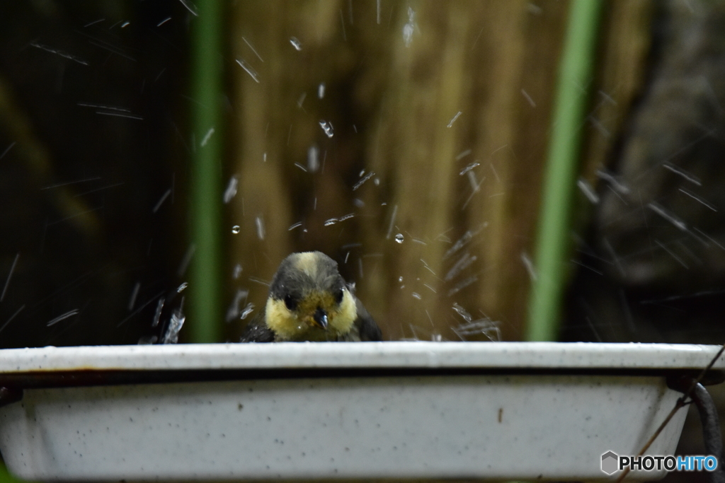 お風呂だ〜(２回目)