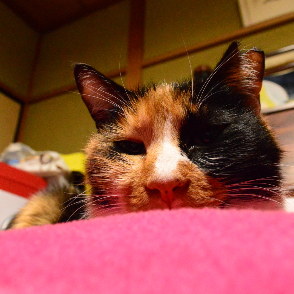 むむむ