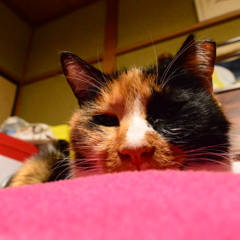 むむむ