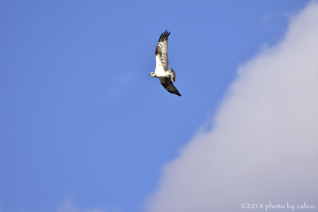 大空へ