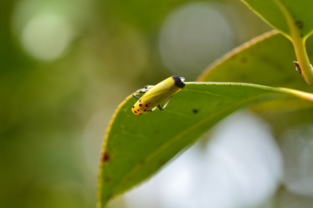 どこに行こうかな？