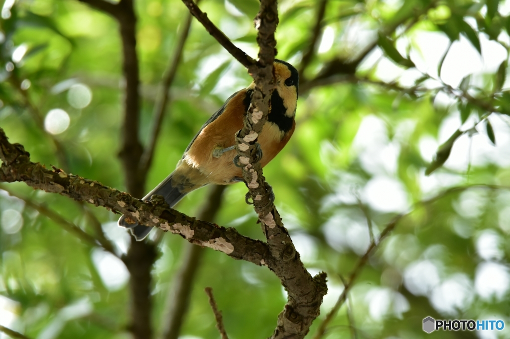 おはよう･･･チラ