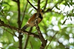 おはよう･･･チラ