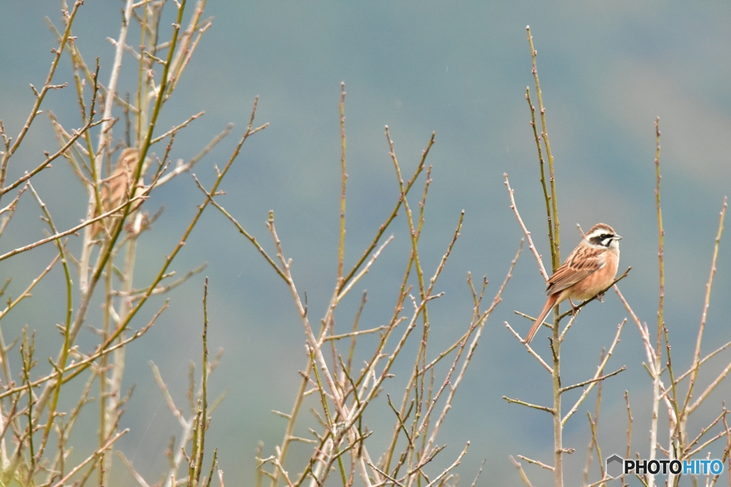 寒くなってきたね