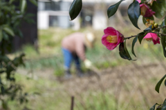静かに見守る 静かに見守る