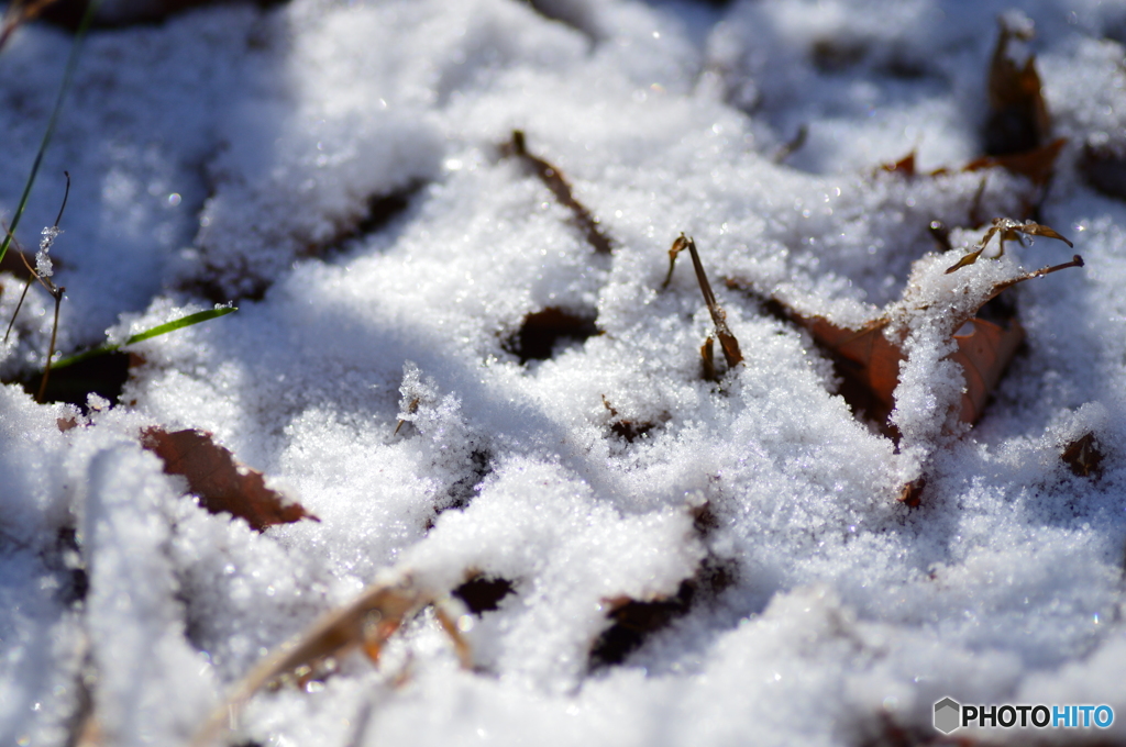 積雪 Ⅰ