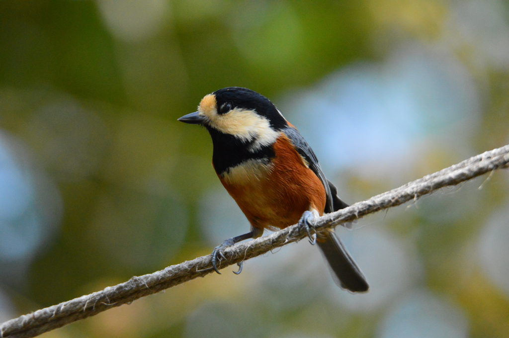 いまいちだったのかな･･･