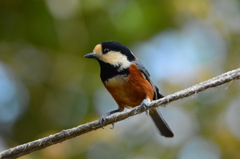 いまいちだったのかな･･･