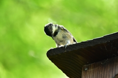 中が気になるのだ･･･