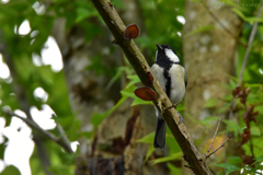 すっきりしない天気だな… すっきりしない天気だな…