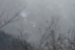 春雪