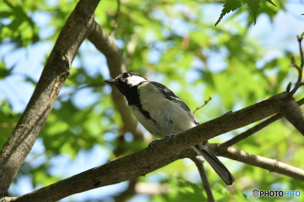 じゃあ、またね～